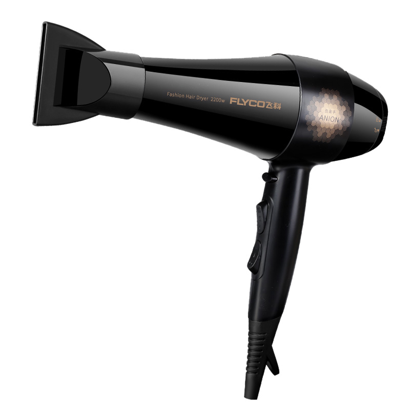 Flyco Hair Dryer